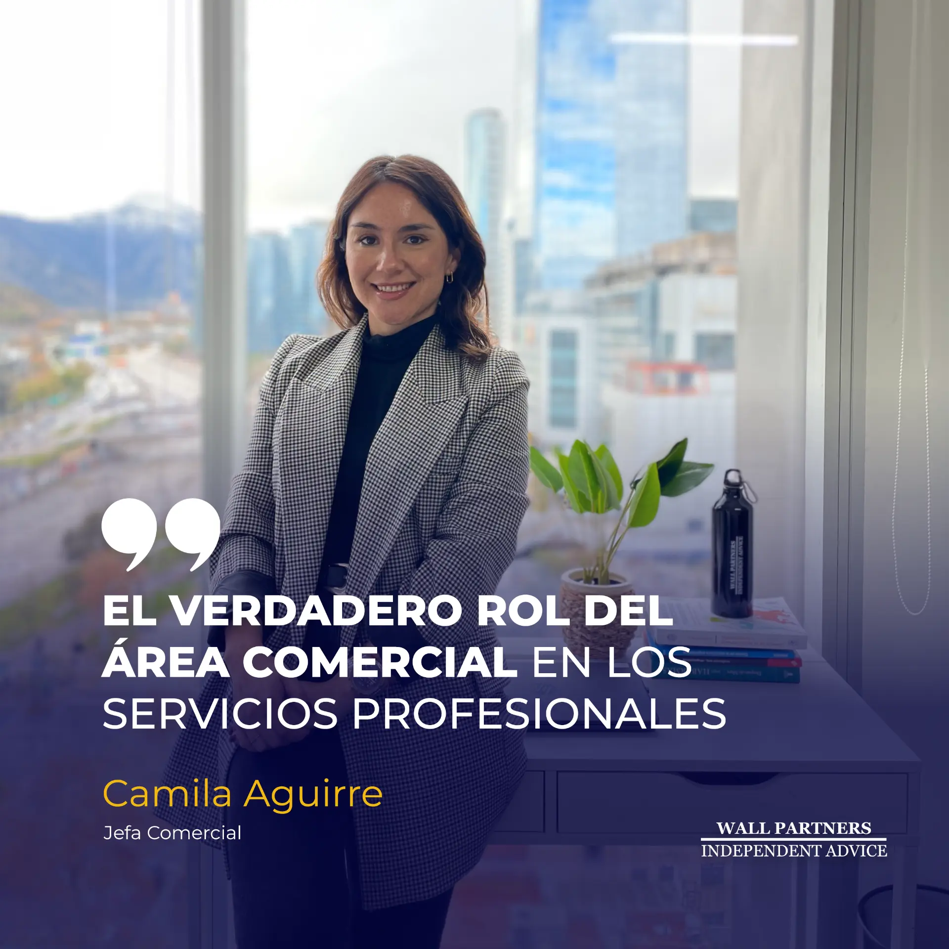El verdadero rol del área comercial en los servicios profesionales